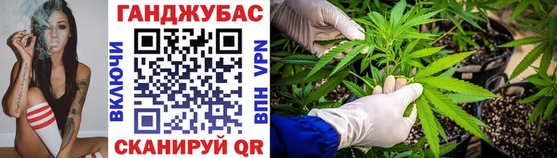 где можно купить наркотик Зеленоградск Бошки марихуана план